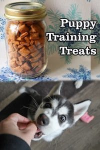 DIY Puppy Training Treats